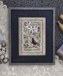 Colorado Columbine - Botanical Stitches (image for) Colorado Columbine - Botanical Stitches